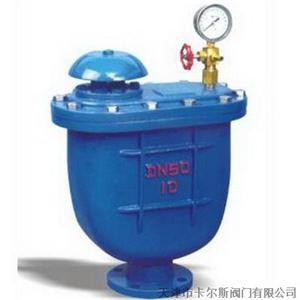 CARX复合式排气阀